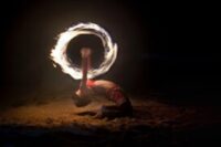 Téma Fotoprojektu 52/2024 - A PŘECE SE TOČÍ! (19/52)