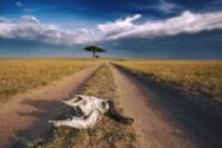 Téma Fotoprojektu 52/2025 - AU! (32/52)