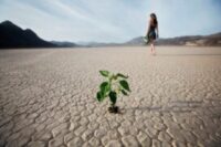 Téma Fotoprojektu 52/2025 - GLOBÁLNE OTEPĽOVANIE (33/52)