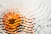 Téma Fotoprojektu 52/2025 - PAPIER KREATÍVNE (45/52)