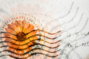 Téma Fotoprojektu 52/2025 -  (45/52)