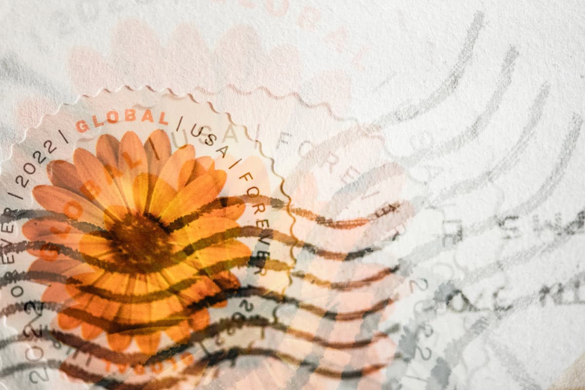 Téma Fotoprojektu 52/2025 - (45/52)