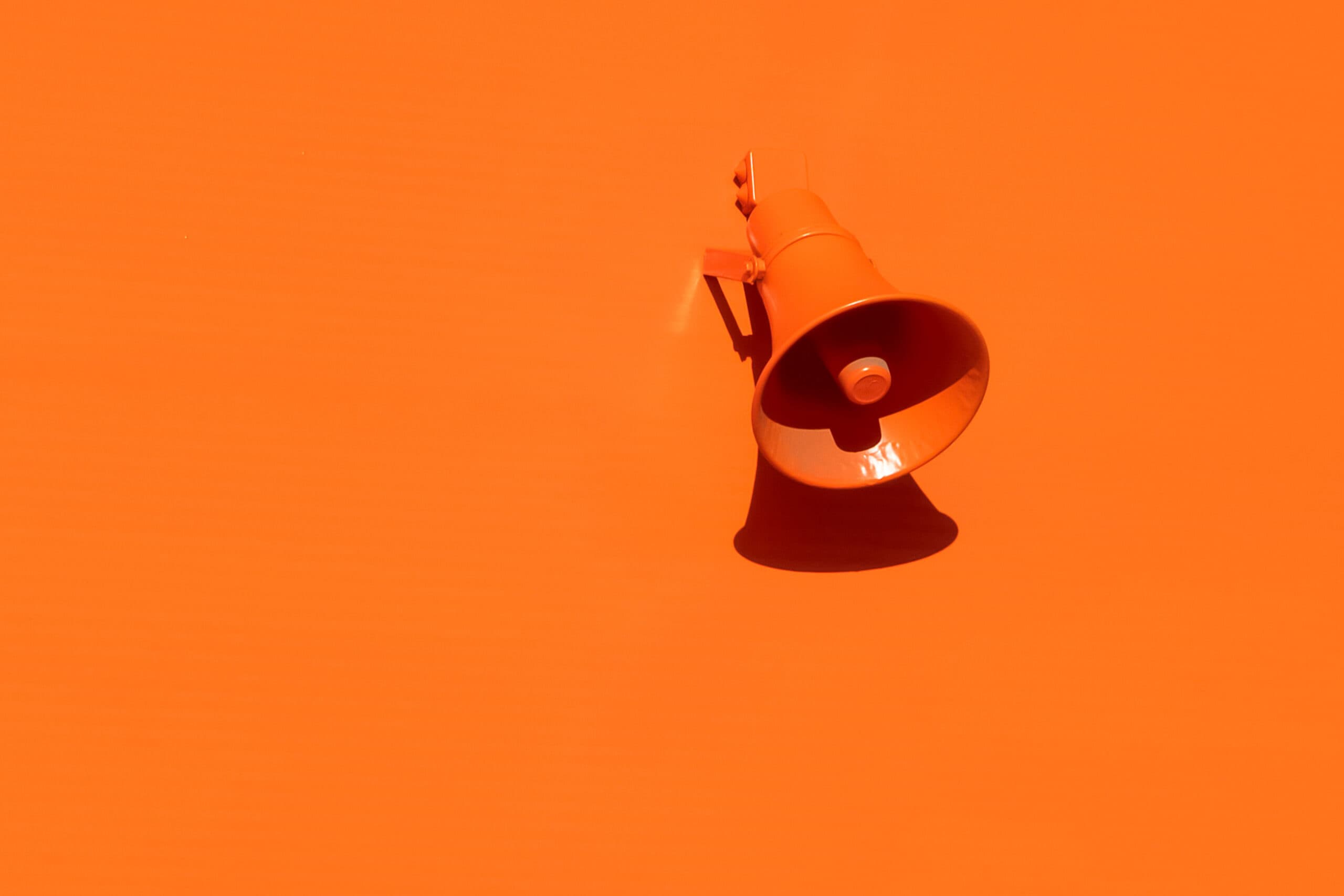 Téma Fotoprojektu 52/2025 - ORANŽOVÁ NA ORANŽOVEJ (44/52)